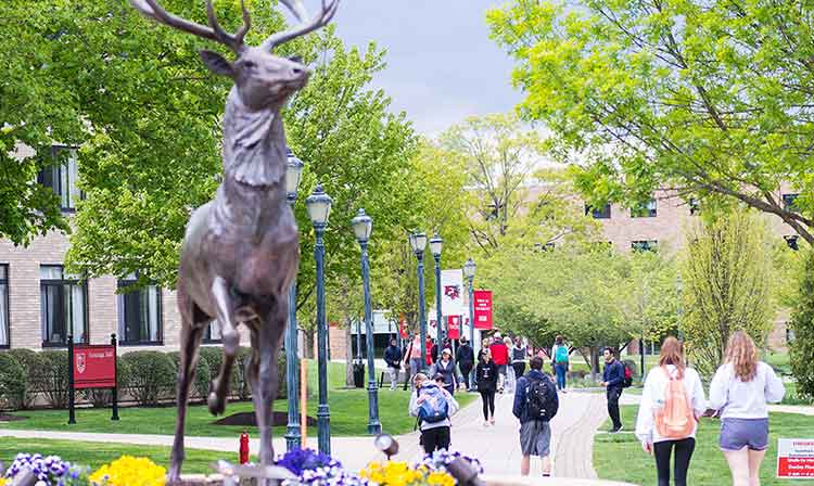 student walking on path past stag statue