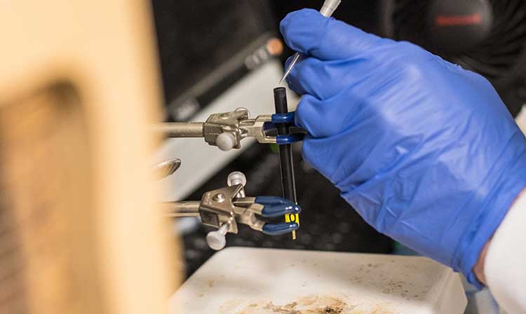 Closeup of a blue glove adjusting equipment with a very fine pointed tool. 