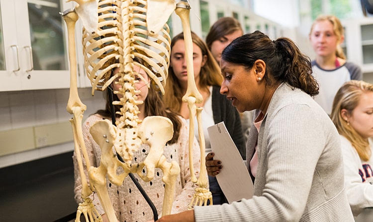 Students standing around a professor who explains something about a full scale model skeleton.