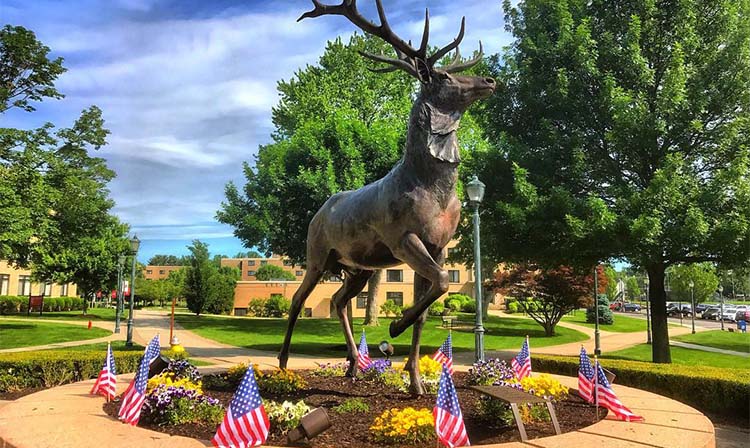 Stag statute on campus. 