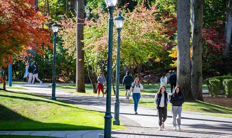 Students walk down stone paths.