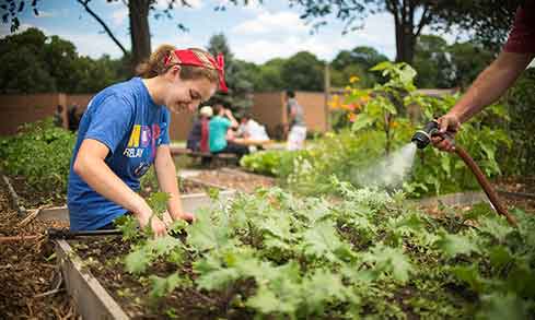 A student gardens outdoors while another waters plants. 