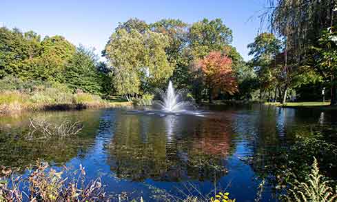 a pond with fountain