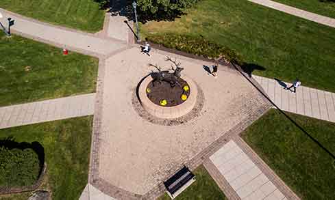 top down aerial of stag statue and walking paths