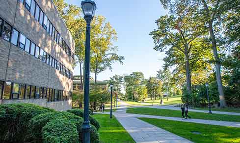 A walking path and street light on campus