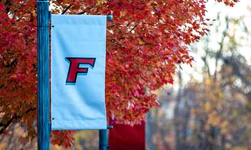 A streetlight with a fairfield logo flag. Red leaves in background.