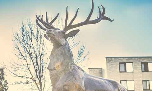 Stag Statue in winter with tree branches in background