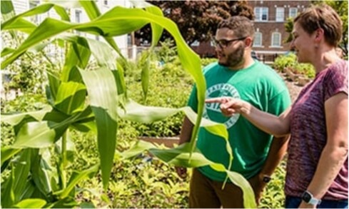 Two people survey the plants in a garden.