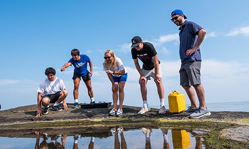 Students inspecting a shallow body of water near the beach shoreline.