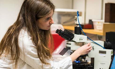 image of student in lab 