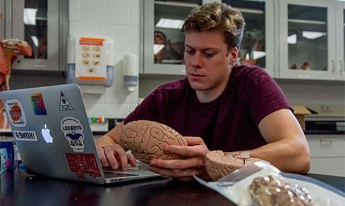 Image of student in front of computer