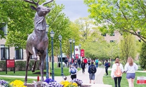 Students walk on Fairfield’s campus around a Stag statue.