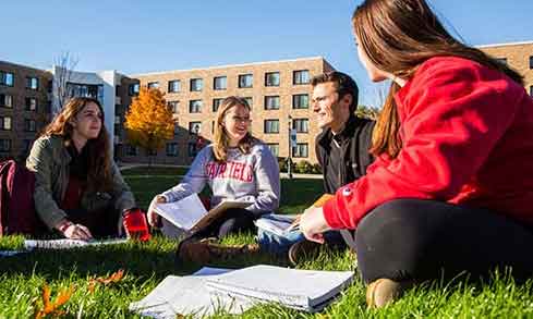 Students sitting outside together studying on campus. 