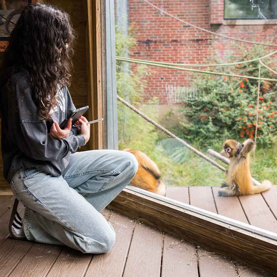 A woman sits on the floor, observing a red monkey, highlighting a moment of connection between human and nature.