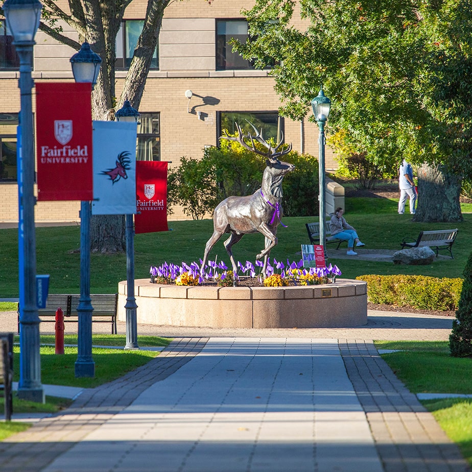 Stag sculpture in the distance on campus on a sunny day.