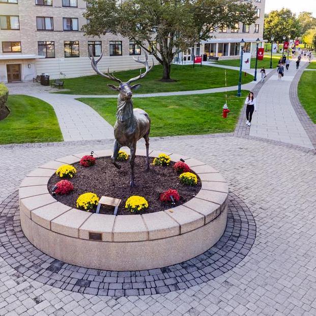 Stag statue in the center of campus.