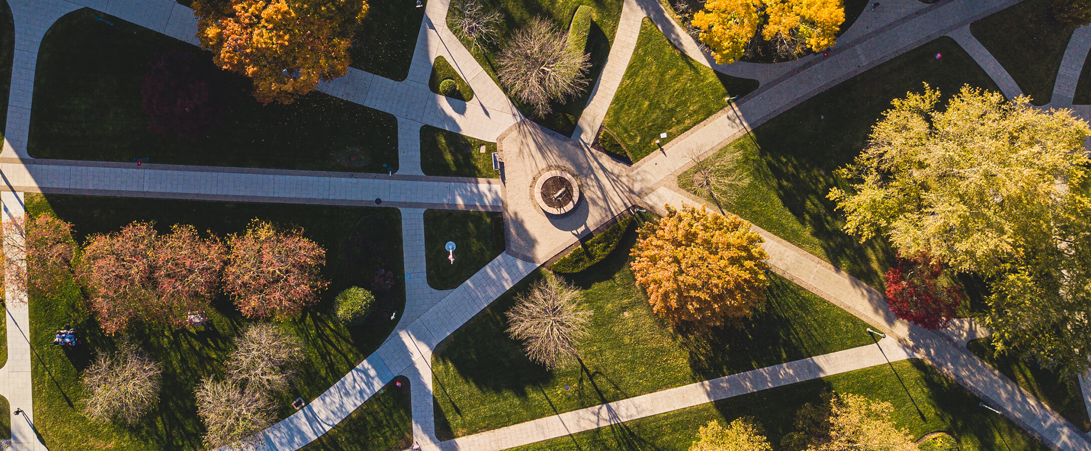 Bird's-eye view of a Fairfield University campus filled with trees and open grassy spaces, highlighting nature's beauty.