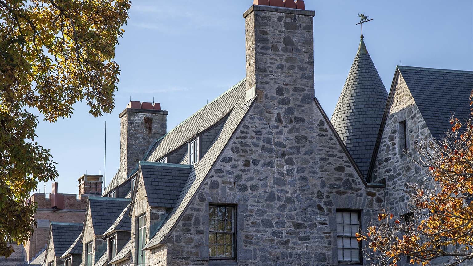 Image of the Murphy Center building