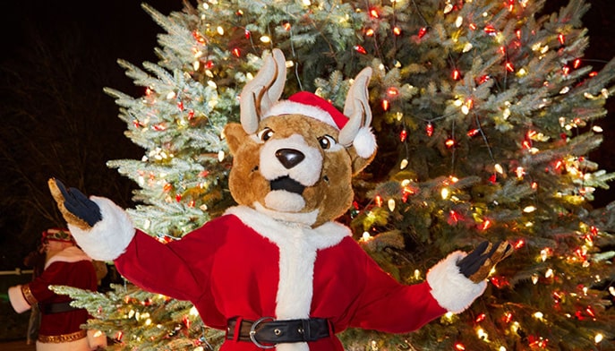 Fairfield mascot Lucas the (Santa) Stag poses in front of a decorated Christmas tree.