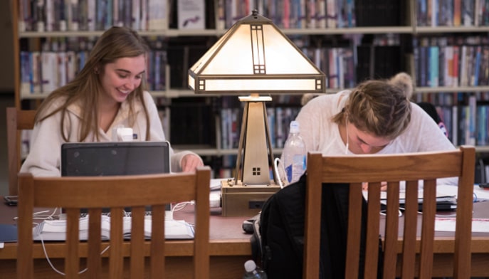 Two students studying in the library