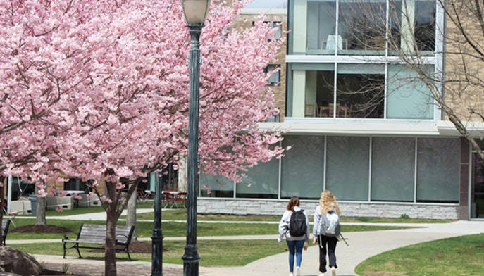 Fairfield campus in the spring