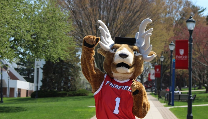 Lucas the stag wearing a grad cap