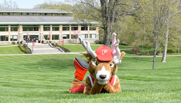 Stag mascot layiong in field