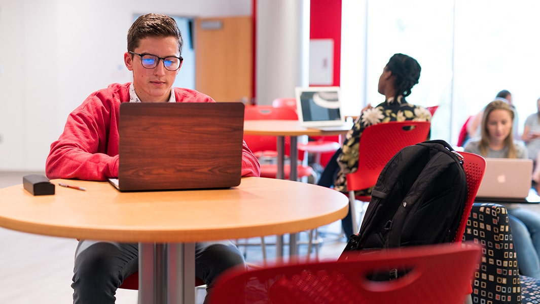 A student sits at a desk using a laptop.