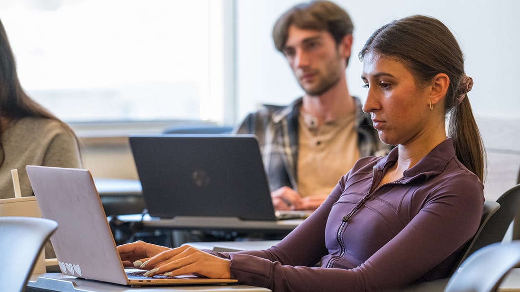 A student takes diligent notes on her laptop during class.