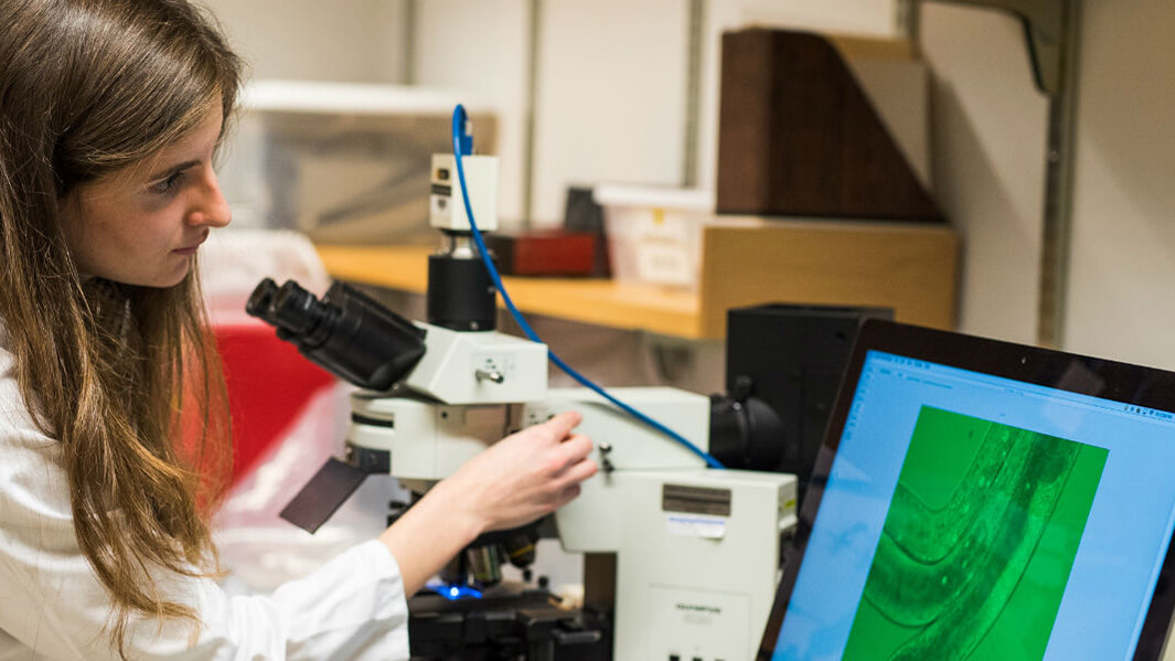 Student in a lab coat examining something through microscope. 