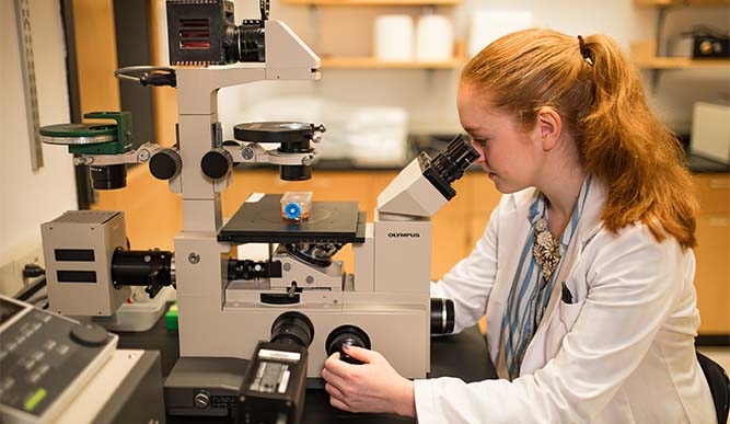 Student looking through a microscope. 