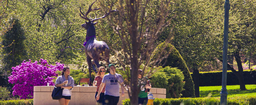 Image of Fairfield University students in front of Lucas the Stag mascot statue