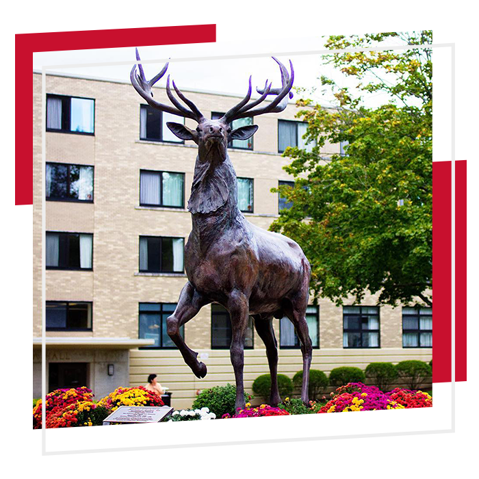 Stag Statue on Fairfield University campus.