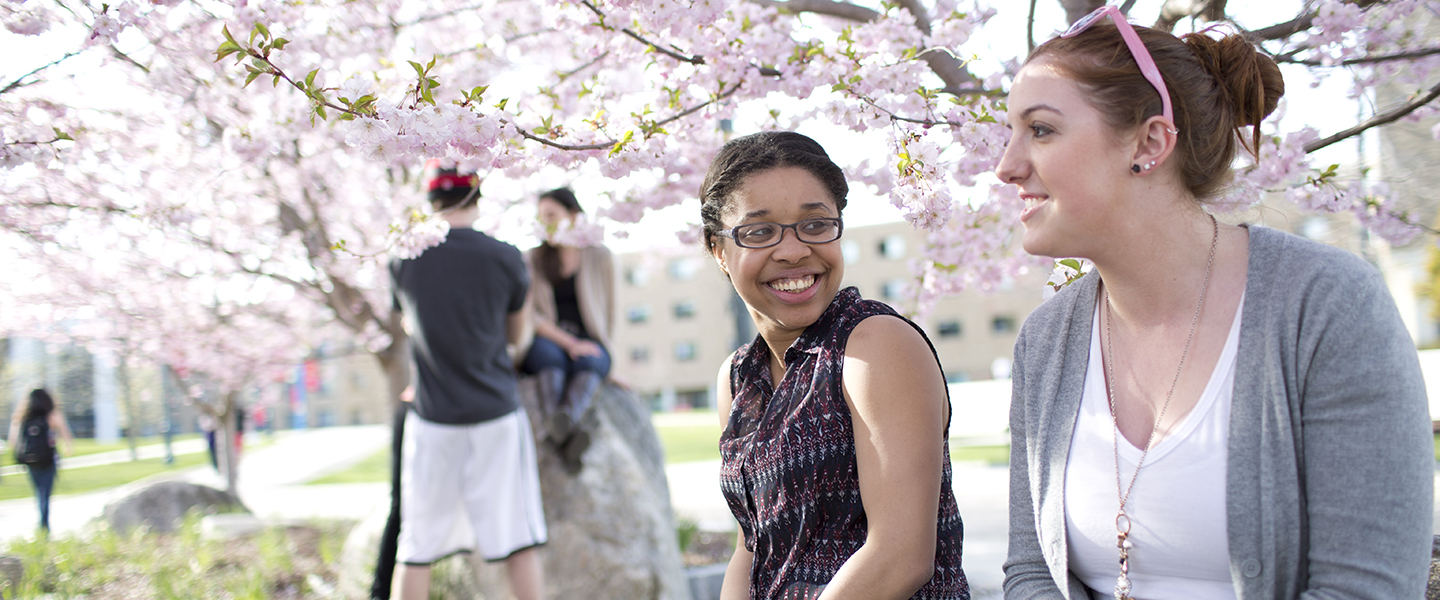 Spring Break Fairfield University