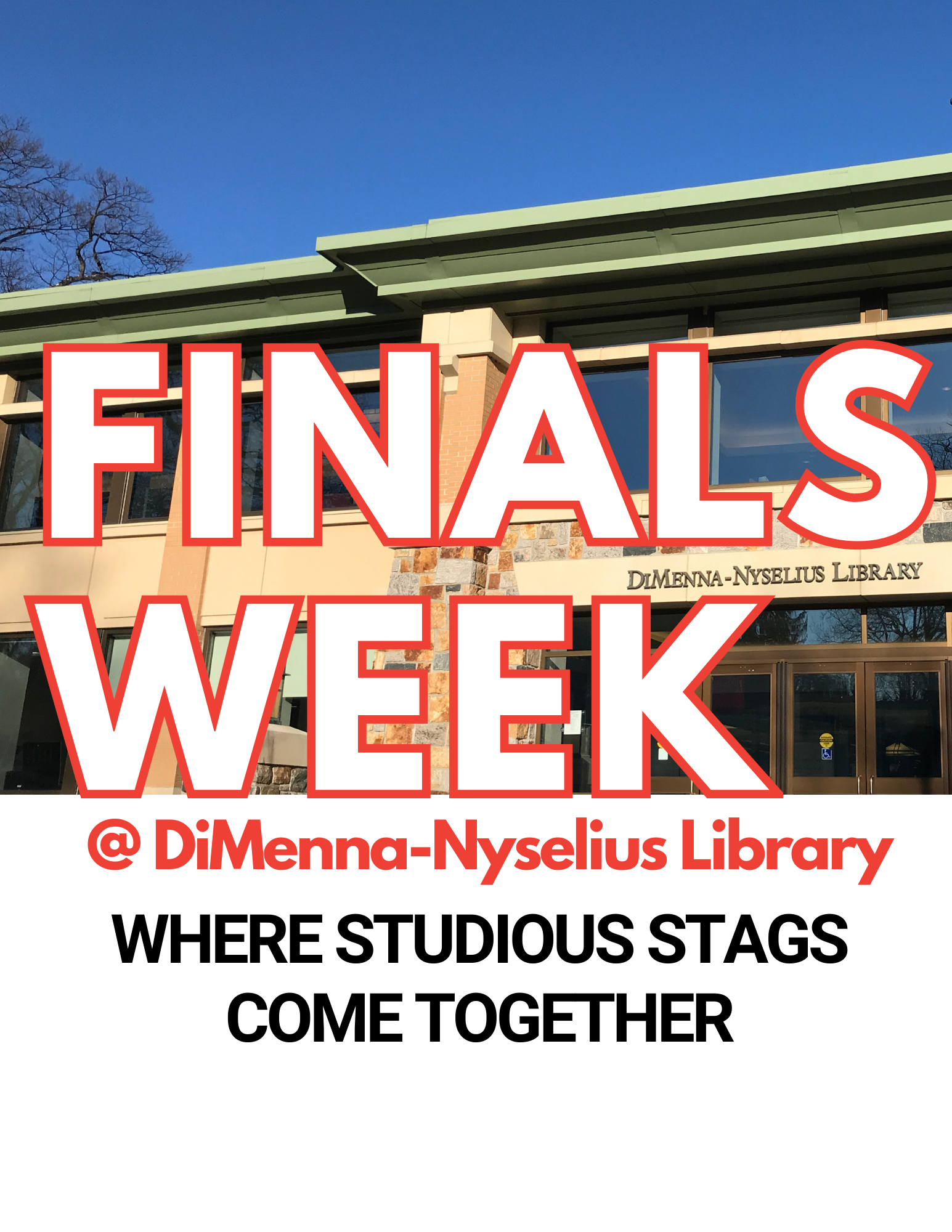 Finals Week: Where Studious Stags Study Together