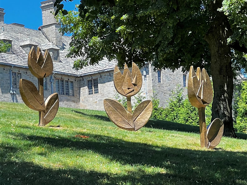 Image of The Tulip family display at Fairfield Univeristy
