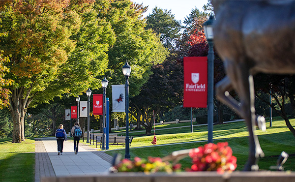 Two students with back turned to camera walking on sidewalk on Fairfield University campus.